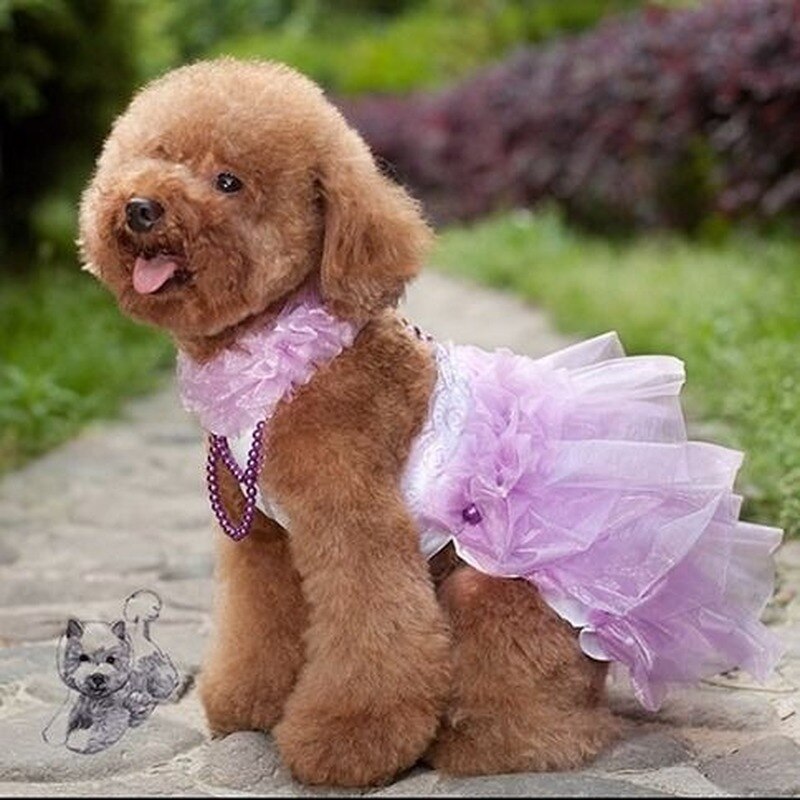 Dog Clothes for Small Dogs  Puppy Clothes The New Summer Wedding Dress Princess